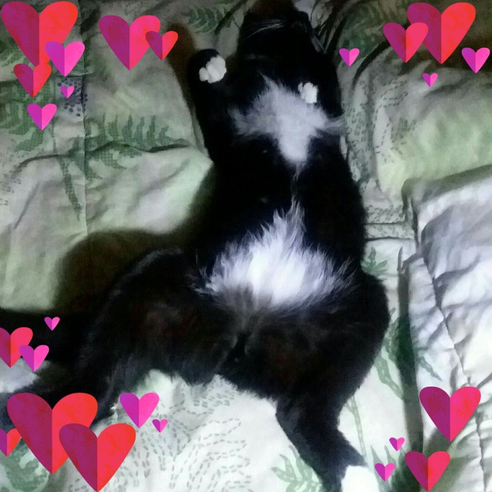 Meet your Posher, Mindi